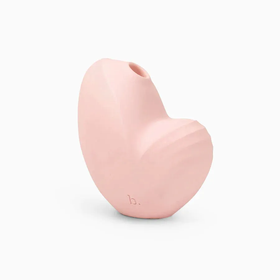 Biird Namii Rechargeable Dual Sucker & Vibrator