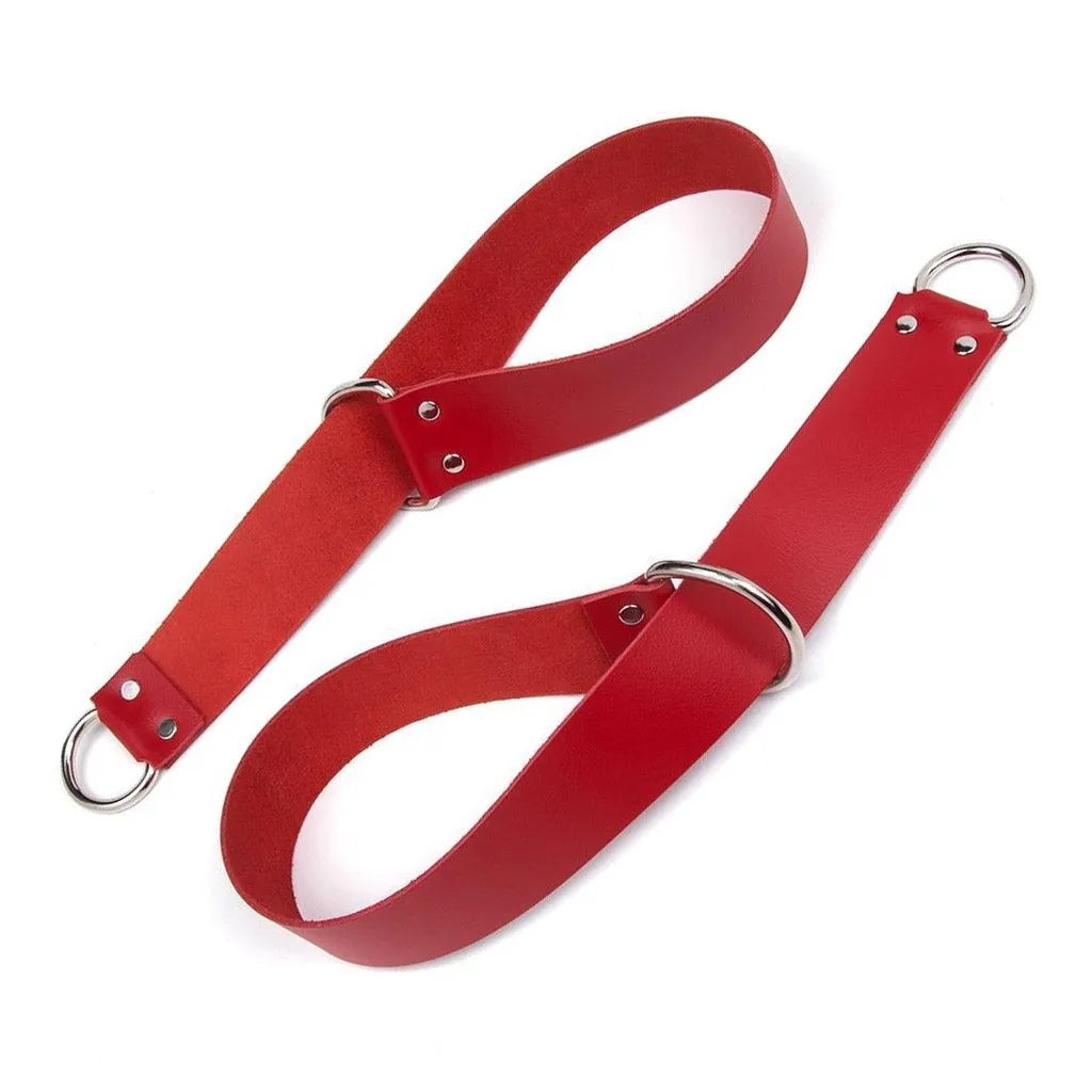 General Purpose Bondage Straps