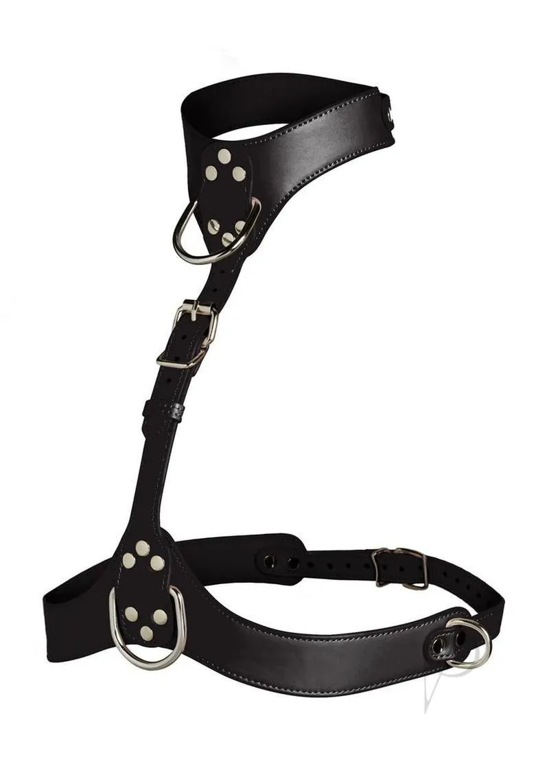 Ms Vixen Female Chest Harness Blk