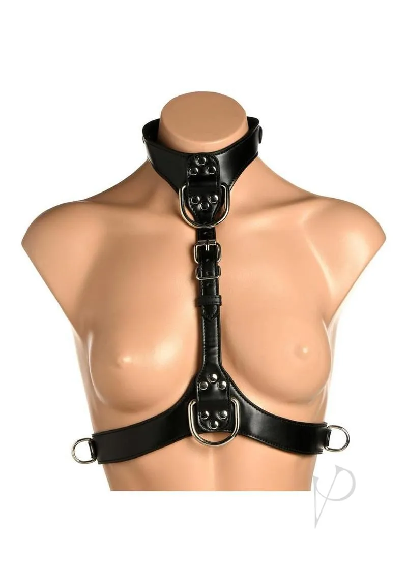 Ms Vixen Female Chest Harness Blk