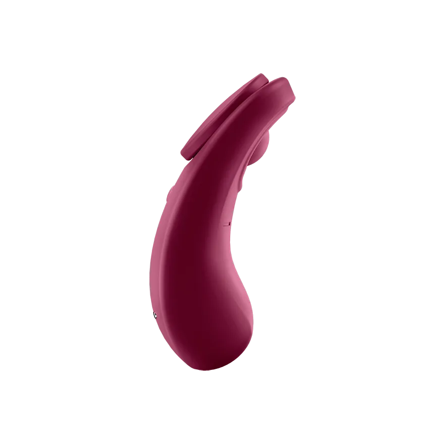 Satisfyer Sexy Secret App-Controlled