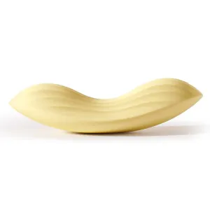 SVAKOM Luxury App Controlled Rechargeable Panty Vibrator