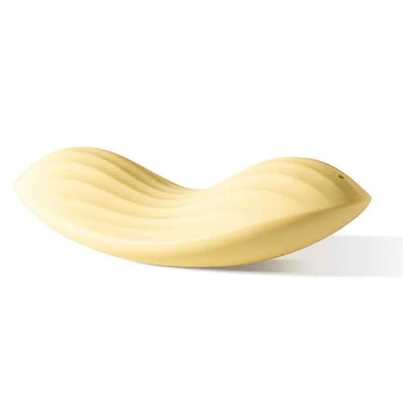 SVAKOM Luxury App Controlled Rechargeable Panty Vibrator