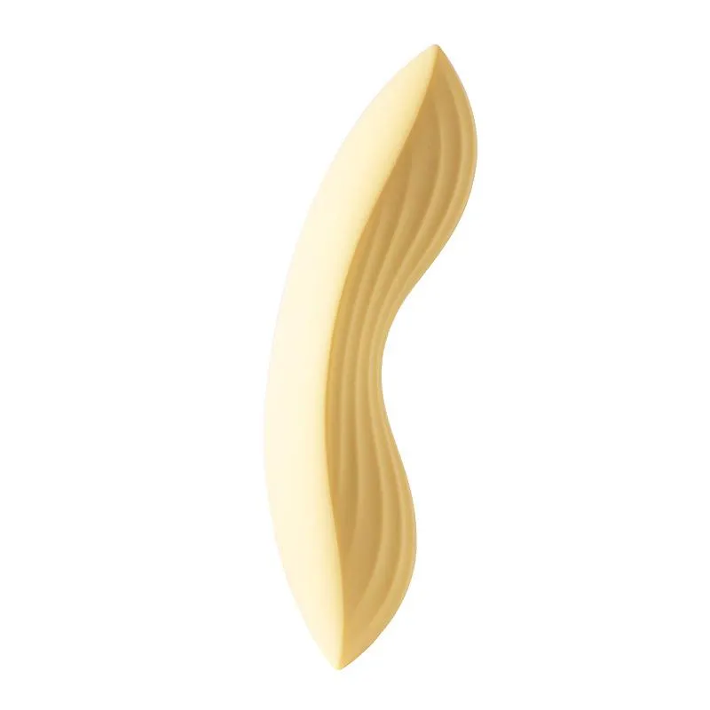 SVAKOM Luxury App Controlled Rechargeable Panty Vibrator
