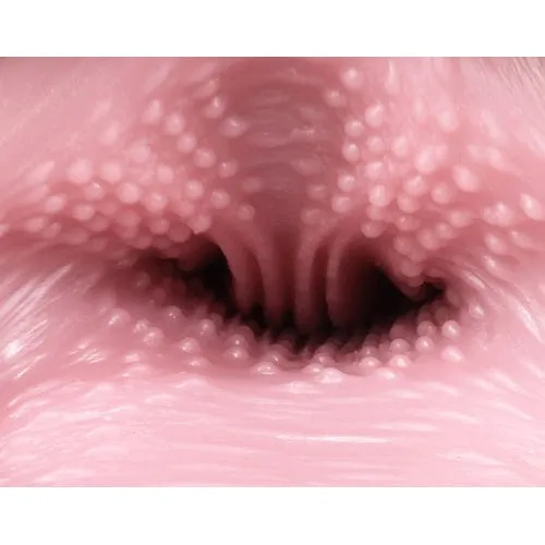 Tomax - Venus Clone Masturbator Onahole (Beige)