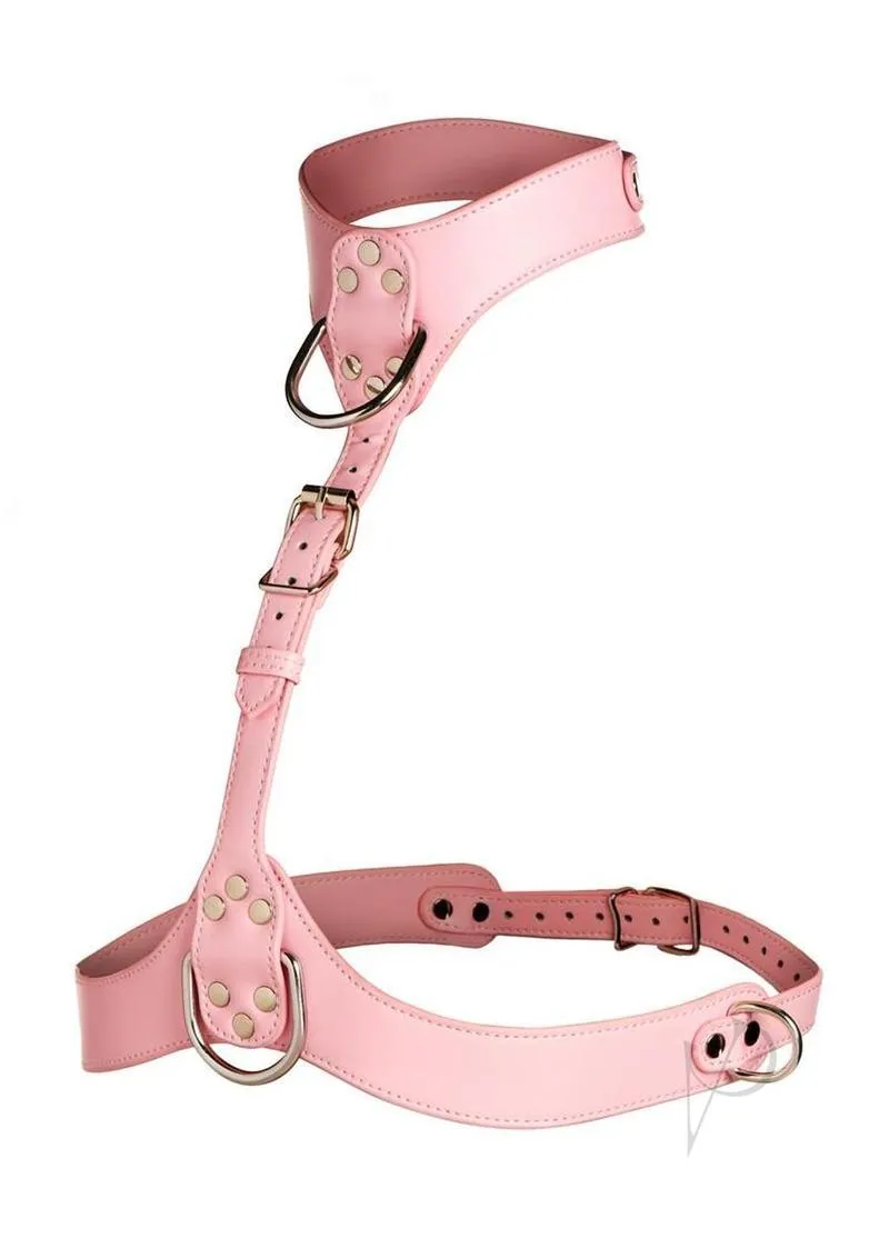 Vixen Female Chest Harness Pnk